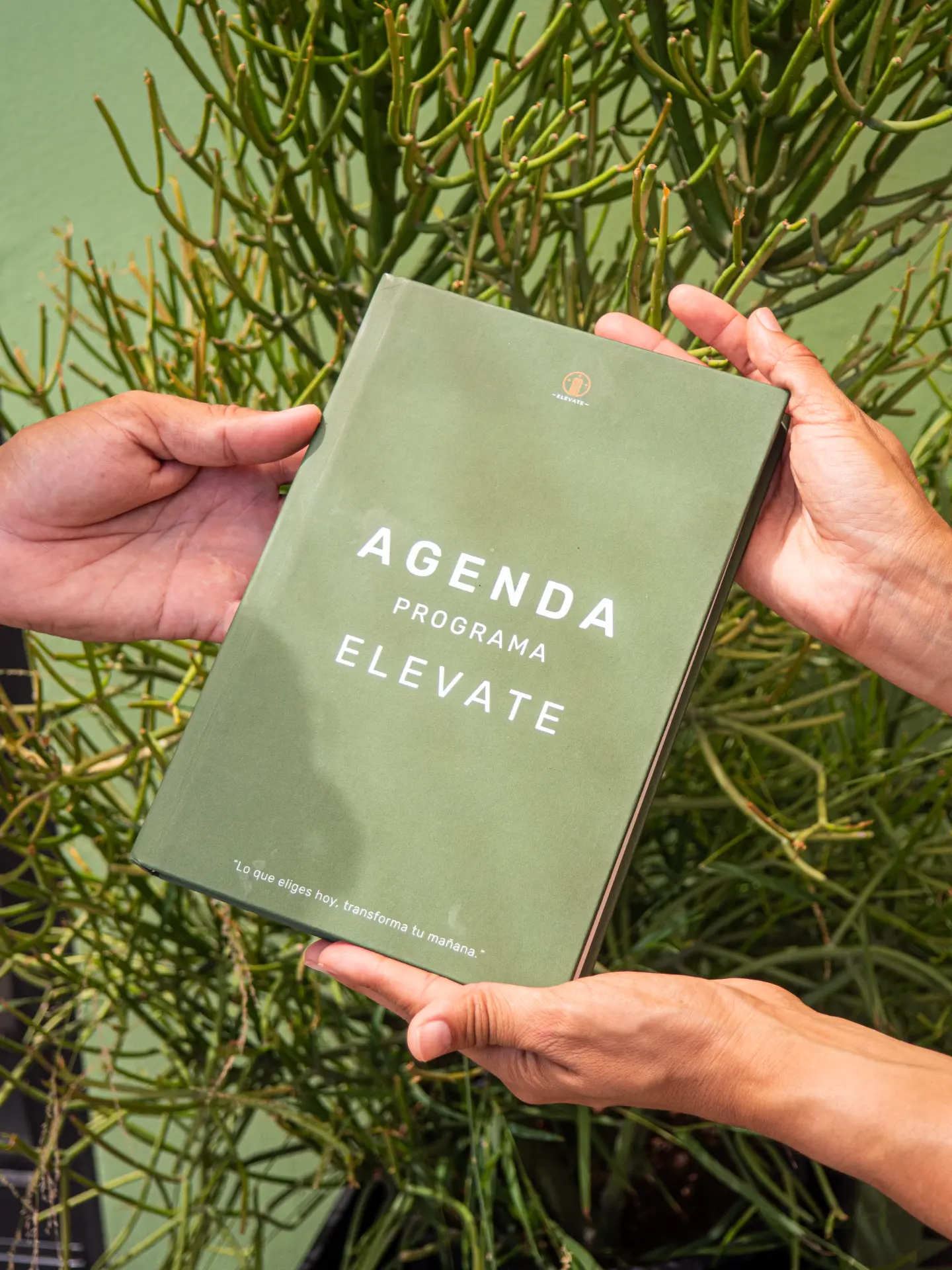 Manos sosteniendo la Agenda Programa Elevate de tapa dura verde musgo frente a una planta